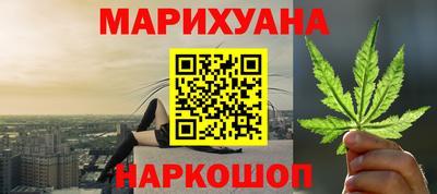 сатива Краснознаменск