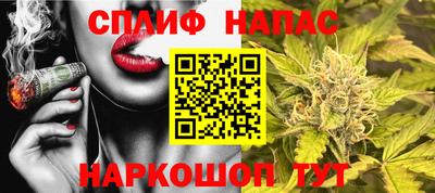 ECSTASY Краснодар