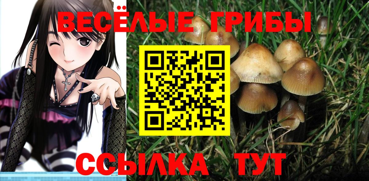 Ишимбай  Галлюциногенные грибы GOLDEN TEACHER  Галлюциногенные грибы Magic Shrooms  Вход с VPN 